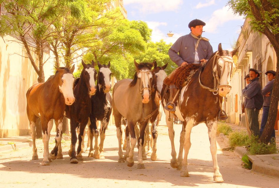 areco