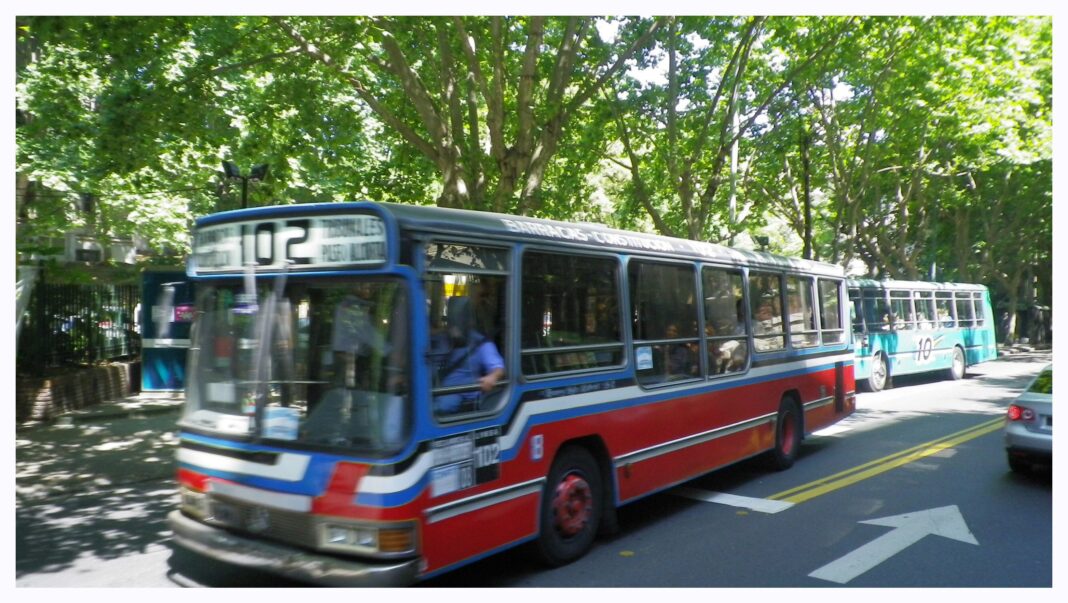 colectivos buenos aires