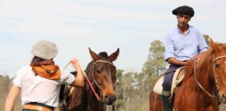 Estancias en la provincia de Buenos Aires, paseos al ritmo del campo argentino