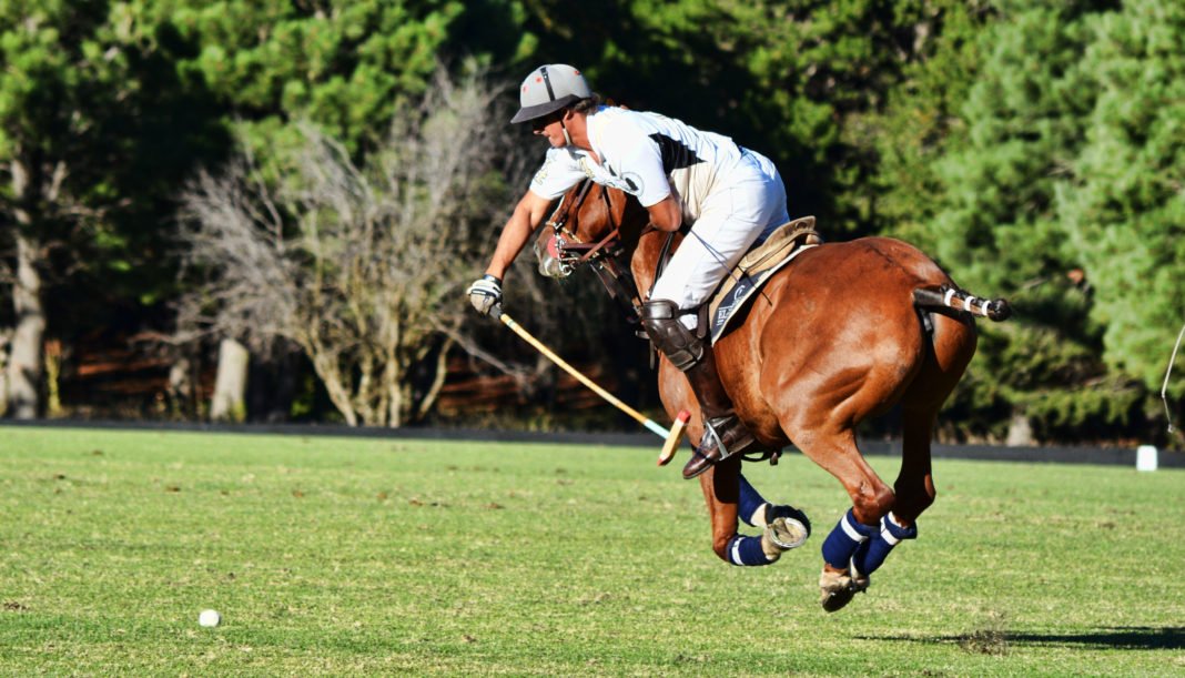 Polo