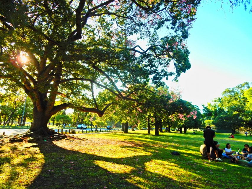 Picnic en Buenos Aires