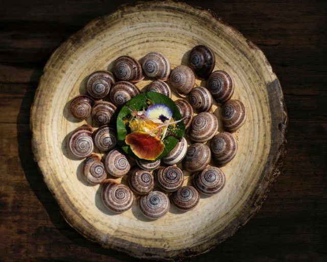 13 fronteras restaurante