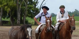Gaucho argentino