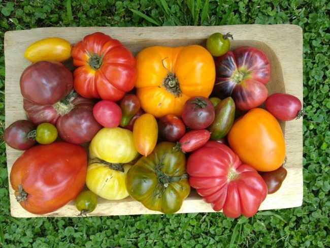 verdulerias organicas en buenos aires