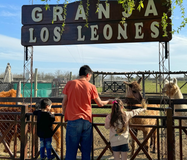 Complejo los leones. Activités à faire avec des enfants à Buenos Aires. PHOTO : IG de Complejo los leones.