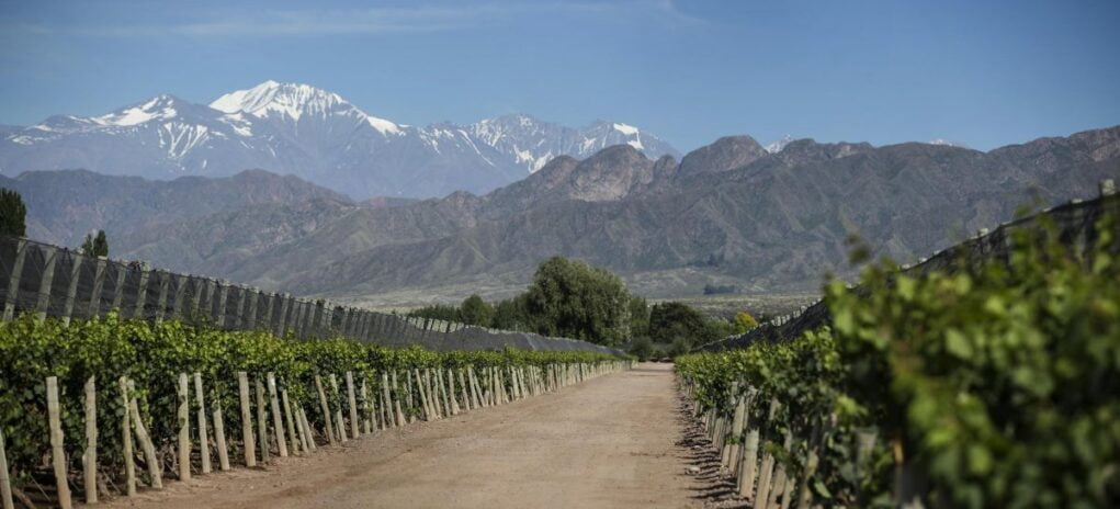 Caballo de los Andes ©Federico-Garcia-Betancourt.