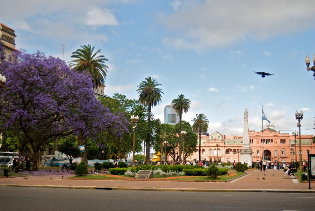 Dos jacarandás teñidos de violeta en la plaza de Mayo. Los Foto: Beatrice Murch.