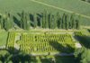 Labyrinthes en Argentine : le guide complet pour s’y perdre (et s’y retrouver) laberintos en argentina