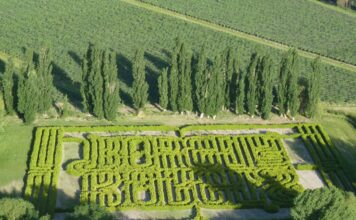 Labyrinthes en Argentine : le guide complet pour s’y perdre (et s’y retrouver) laberintos en argentina
