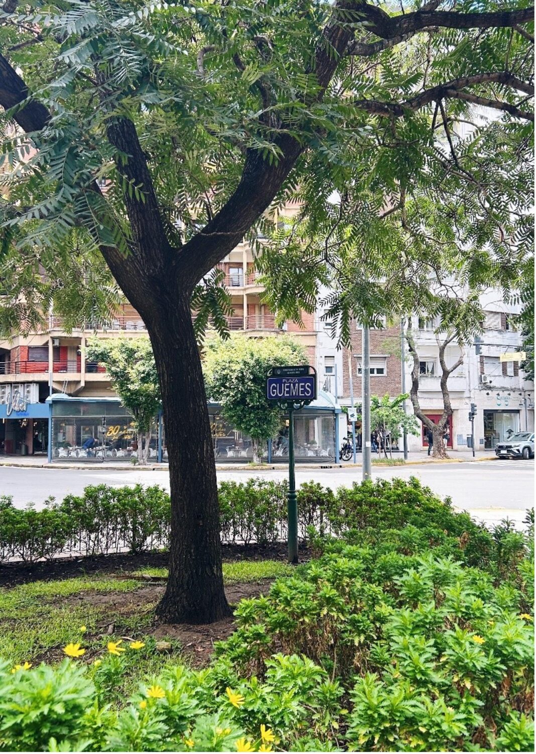 La place Güemes, l'épicentre de Villa Freud dans le quartier de Palermo, à Buenos Aires. Photo : Carolina Casanova