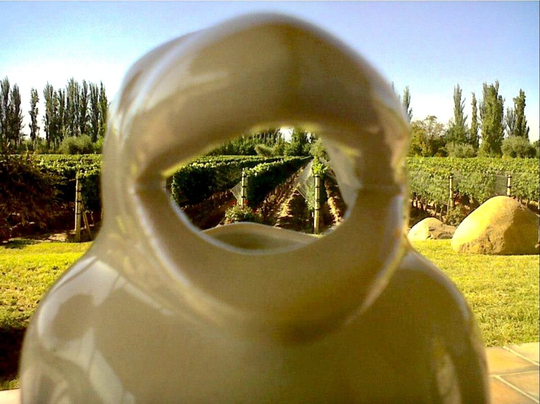 La carafe pingouin pose devant les vignes du domaine Las Nubes, Cafayate. Ph: Sol Linare