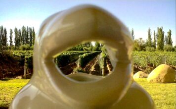 La carafe pingouin pose devant les vignes du domaine Las Nubes, Cafayate. Ph: Sol Linare