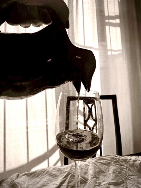 Una jarra pingüino/carafe pingouinPh: Sol Linares