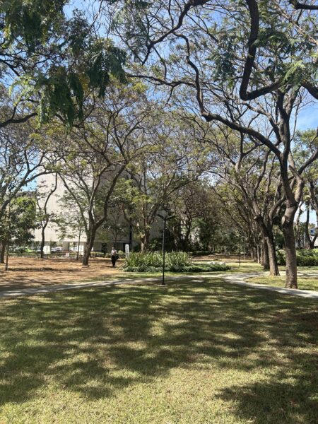 Brasilia