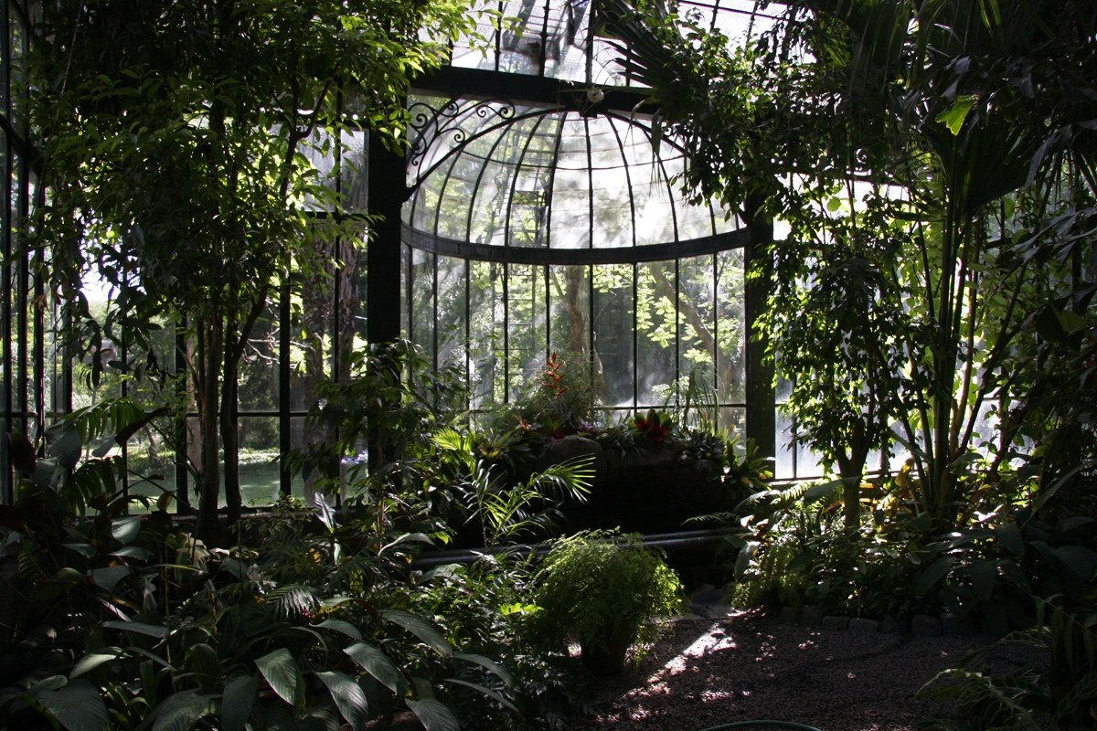 L'ombre du jardin botanique n'a pas de prix quand la chaleur s'abat sur Buenos Aires. Photo: Gob. CABA.