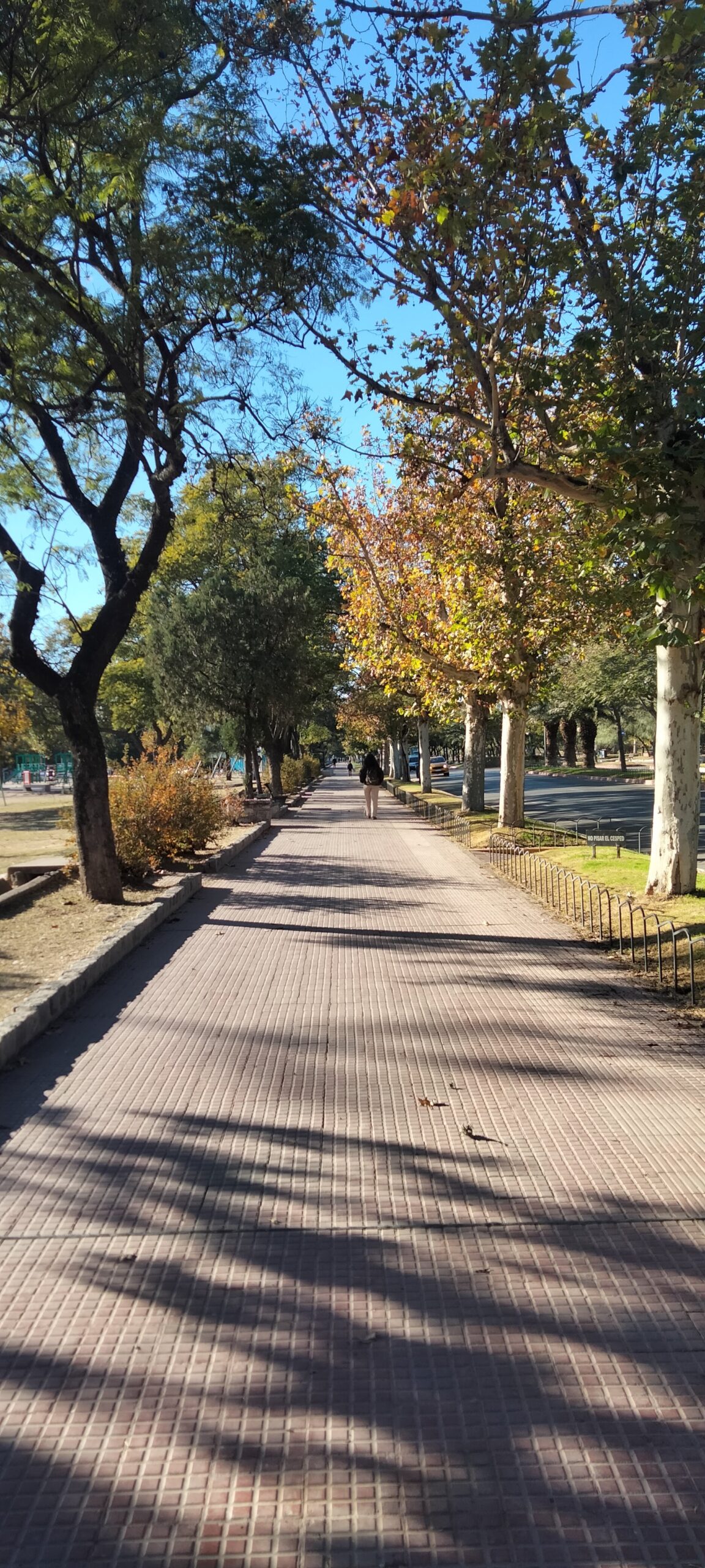 Se perdre dans les allées du Parque Sarmiento est l'une des visites incontournables de Córdoba Capital. Photo: Ambre Mirville.