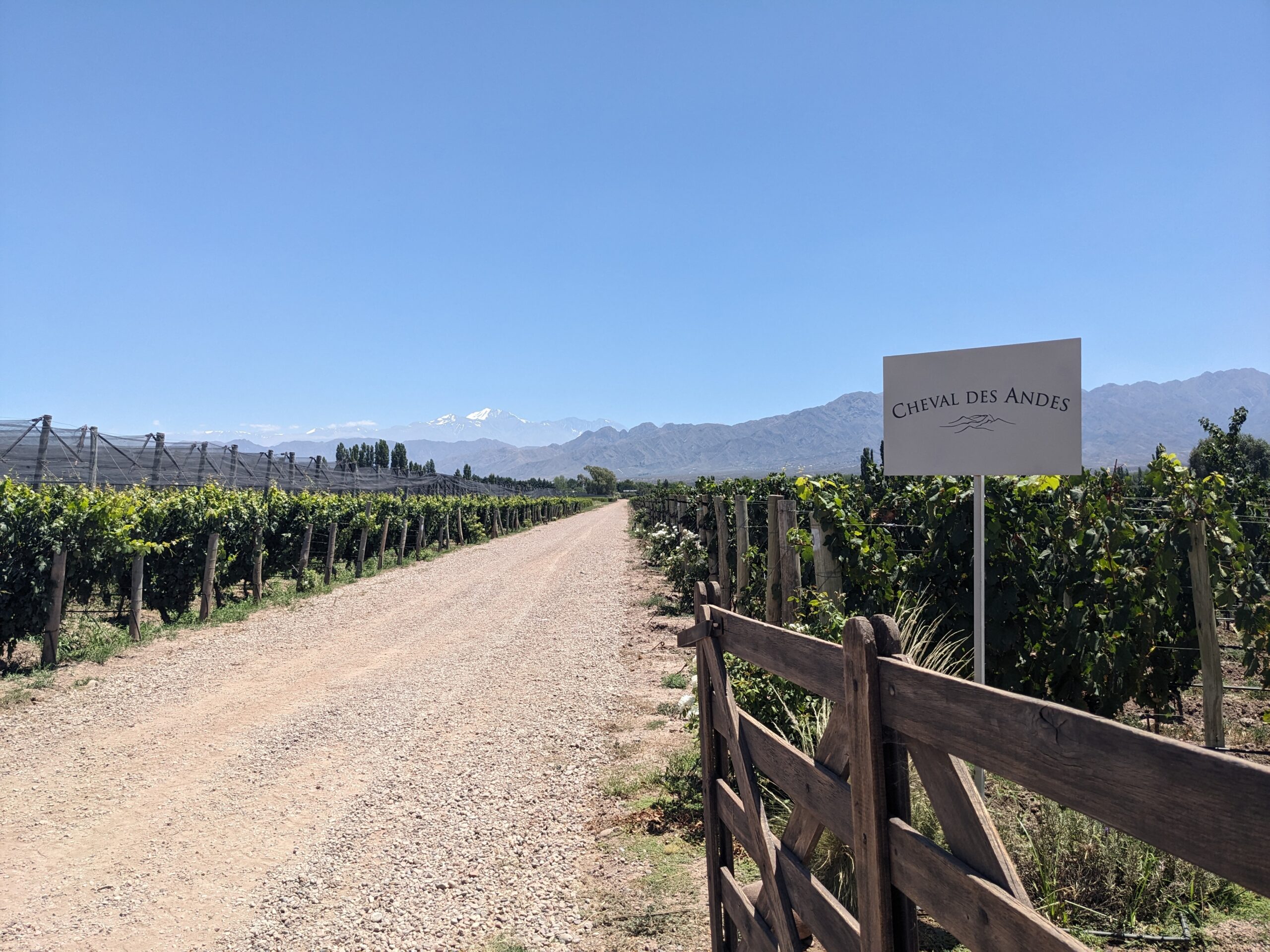 Le domaine Cheval des Andes (groupe LVMH) fait la part belle au malbec, depuis Las Compuertas (Mendoza). Photo: BAC.