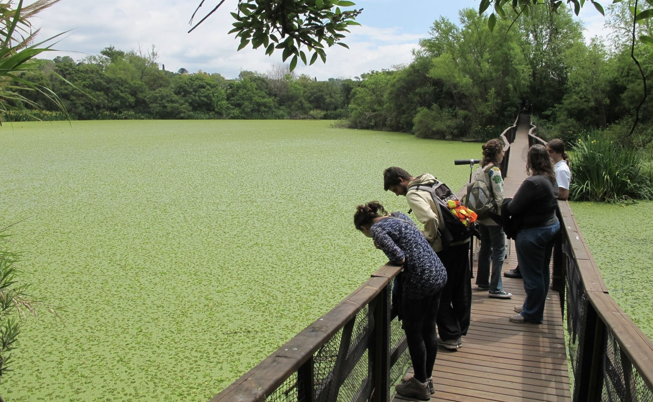 Tan cerca de la ciudad, la reserva ofrece un plan ideal para las familias. Fotografía: Reserva Ribera Norte